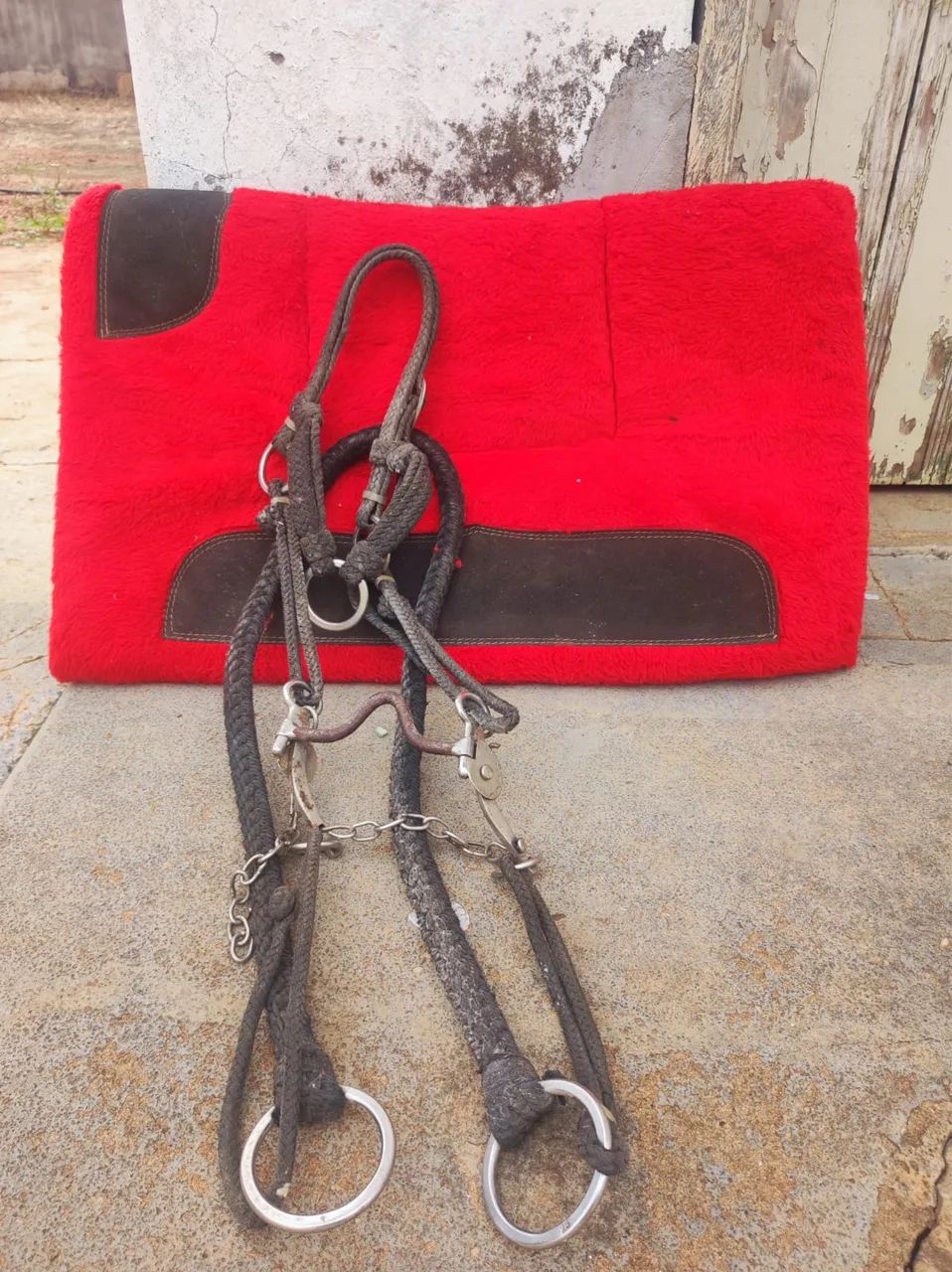 Vende se bacheiro e rédea 