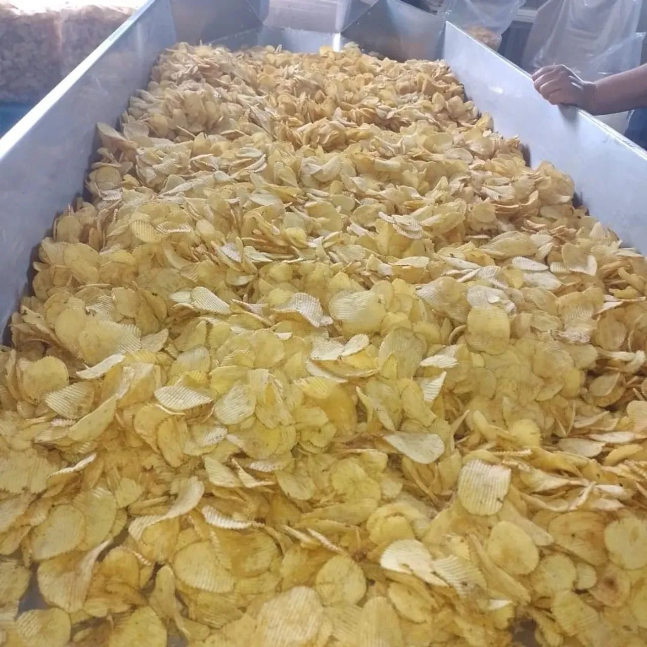 Batata chips promocionais  - Foto 3