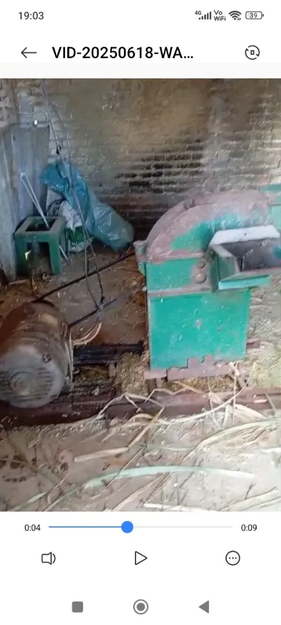 Picador de Capim e Forragem Elétrico