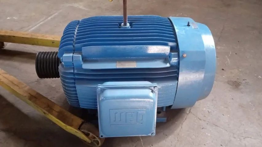 Motor Weg 125 cv