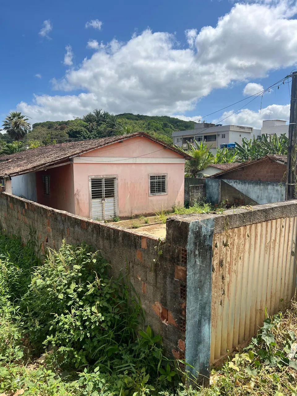 Foto - Recife - Ipsep