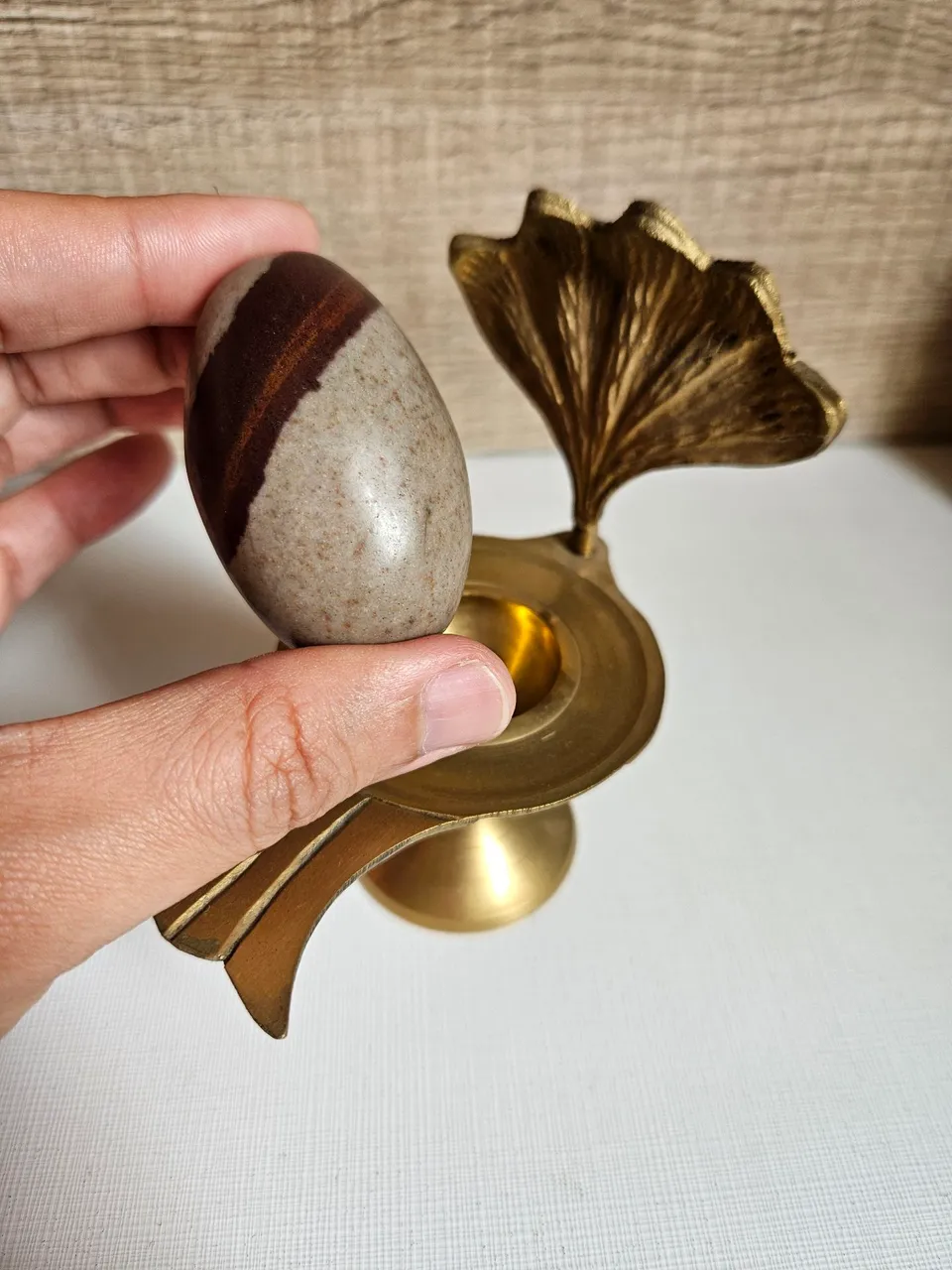 Shiva Proteção