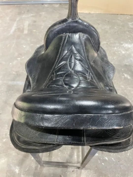 Cela americana  - Foto 3