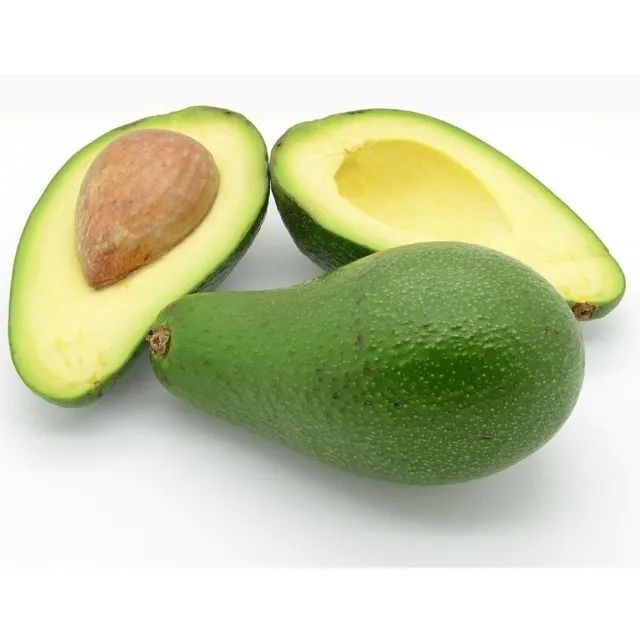 ? Muda de Abacate enxertado - Foto 3