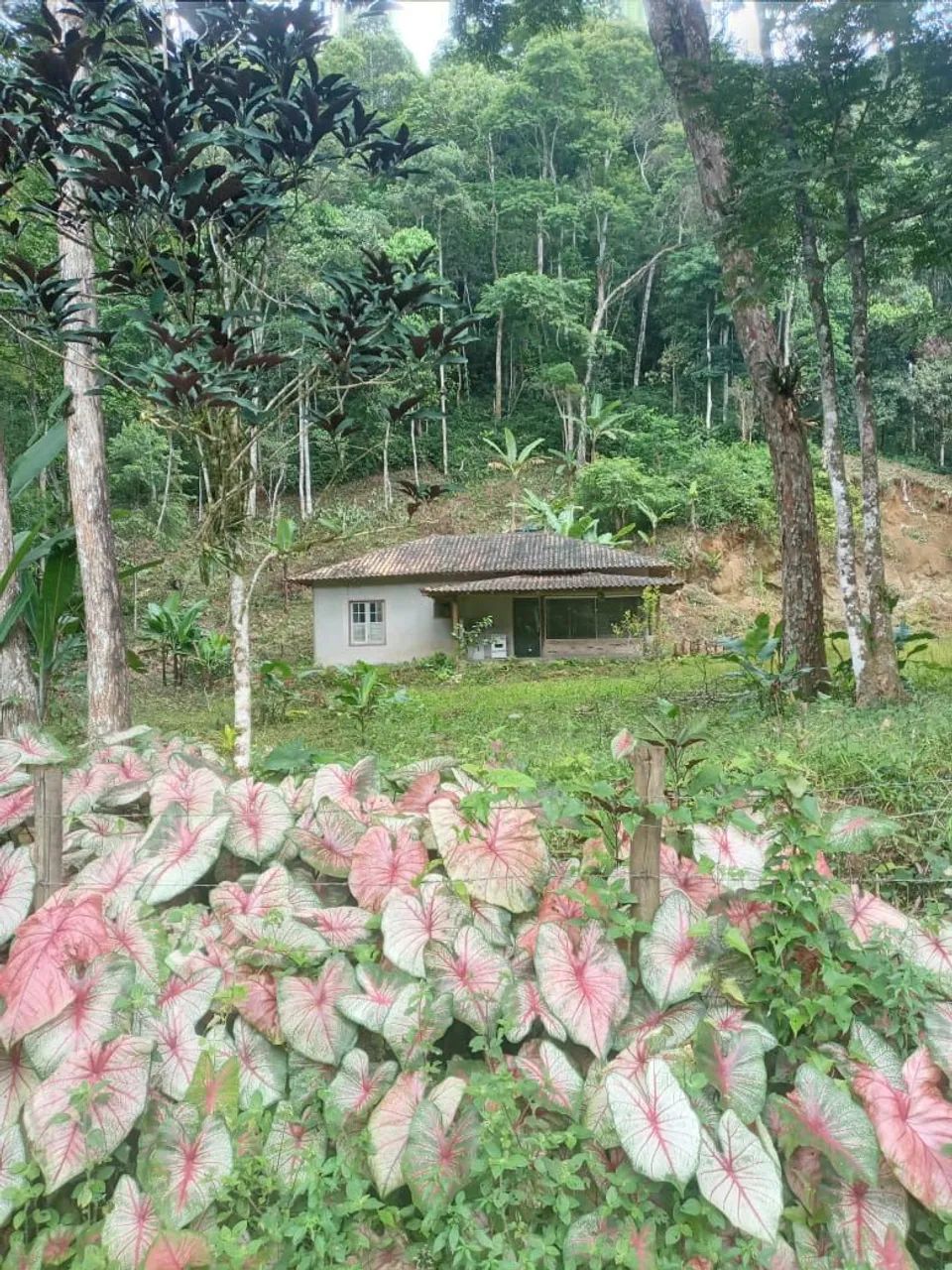 Sítio em Cachoeiras de Macacu, Estrada do Soarinho, Papucaia