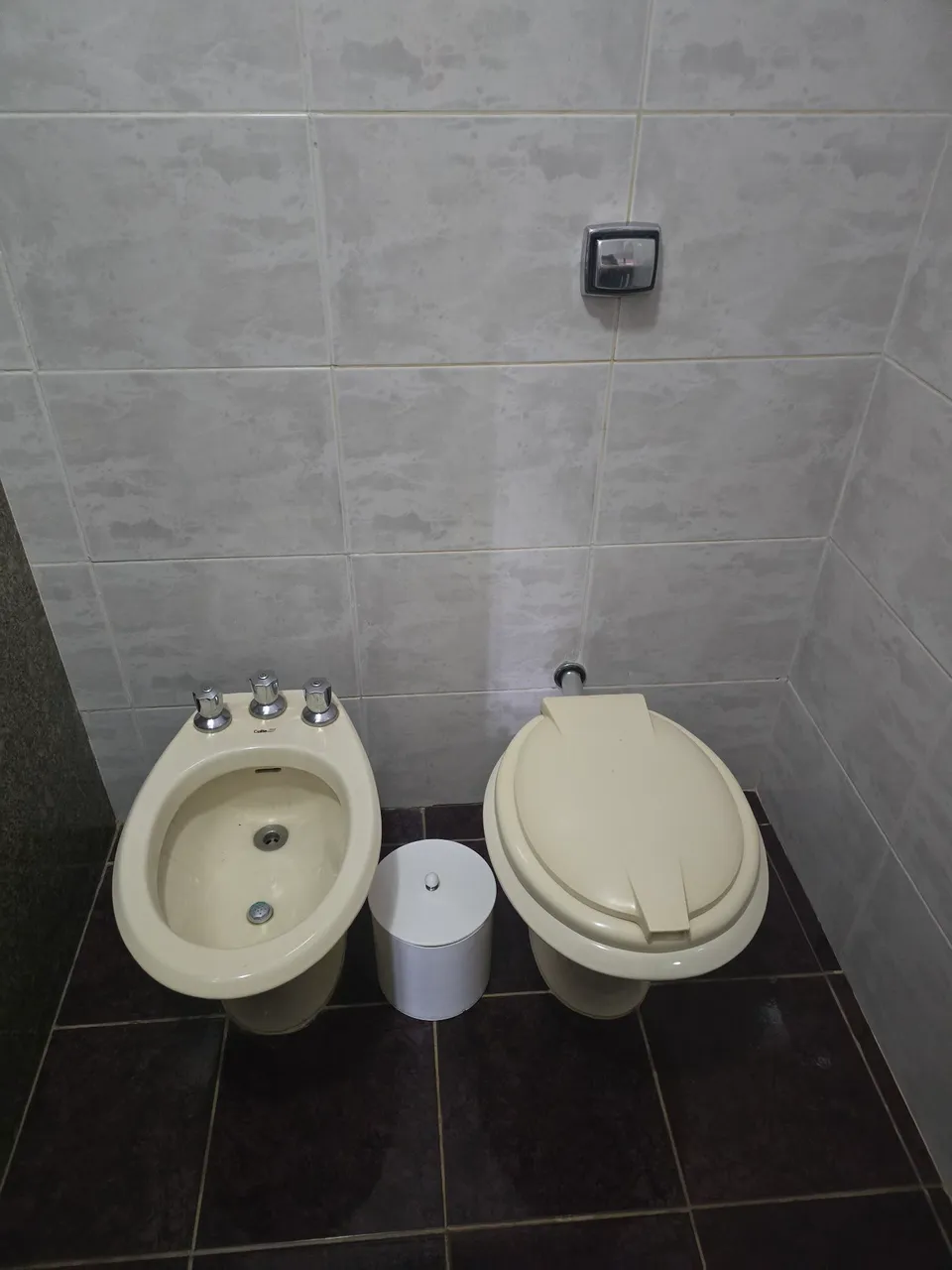 Vaso sanitário com tampa e bidê