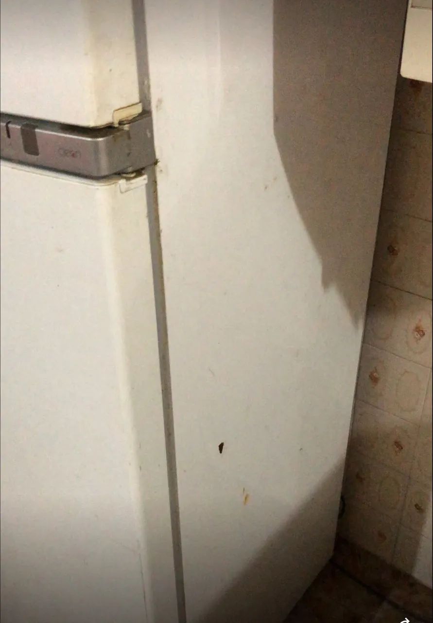 Geladeira  - Foto 4