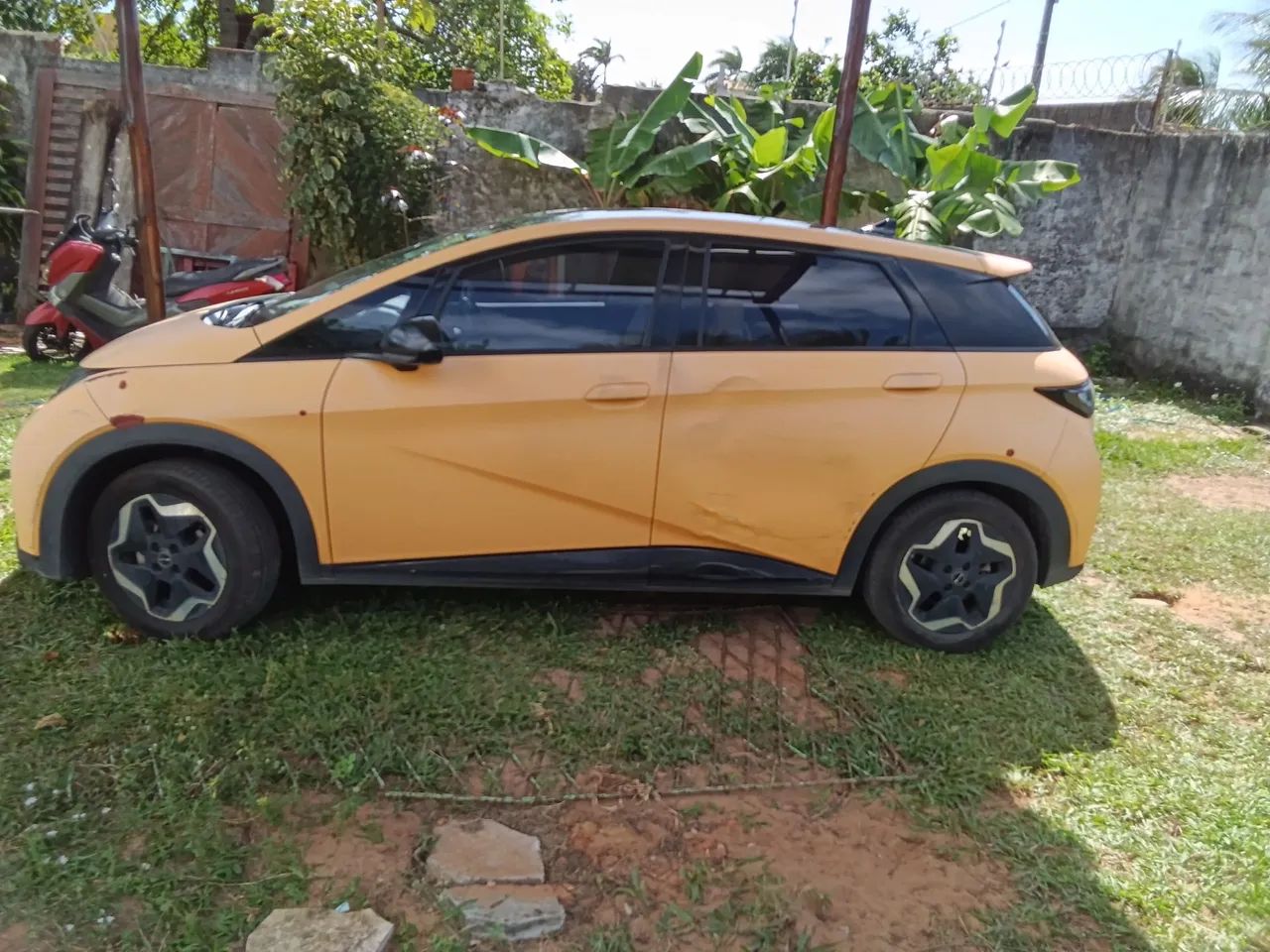 BYD Dolphin EV (Elétrico) 2024 - Foto 2
