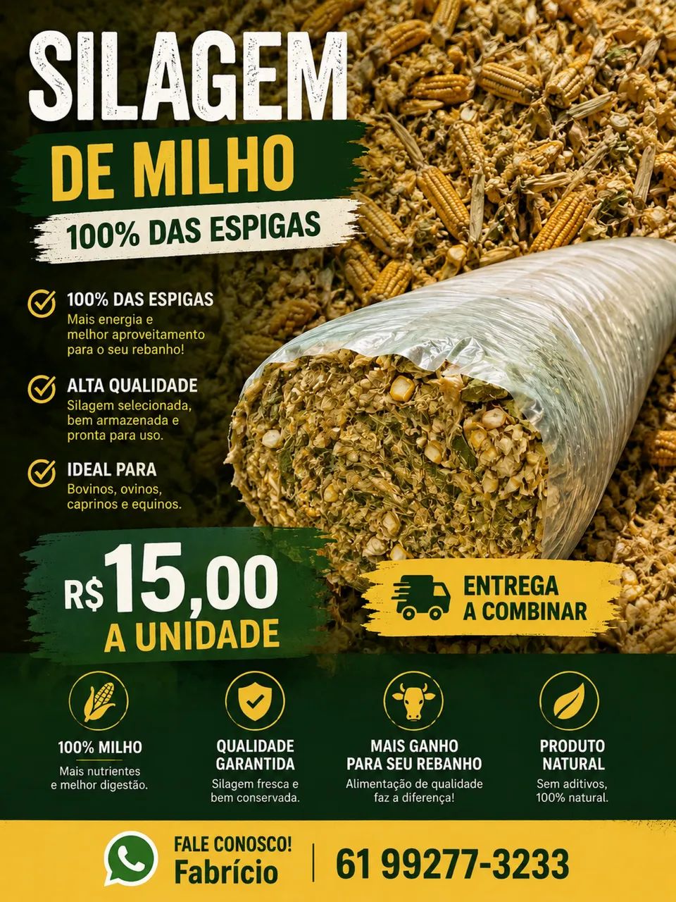 Silagem de milho 