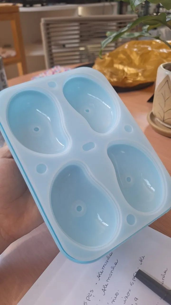 FORMA ENTREMET DE MANGA