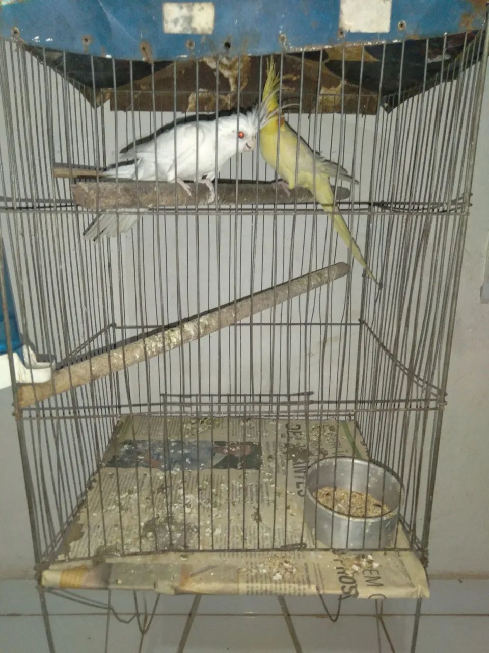 Vendo - Foto 3