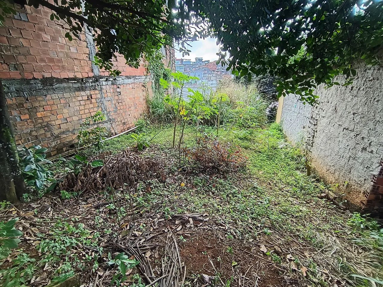 Terreno 7,5 x 14 Bx de Quintas  - Foto 4