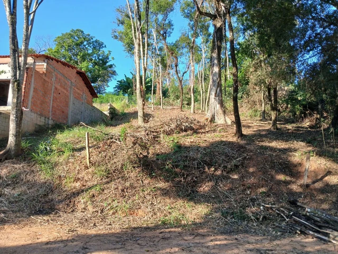 TERRENO JAGUARIUNA  - Foto 3