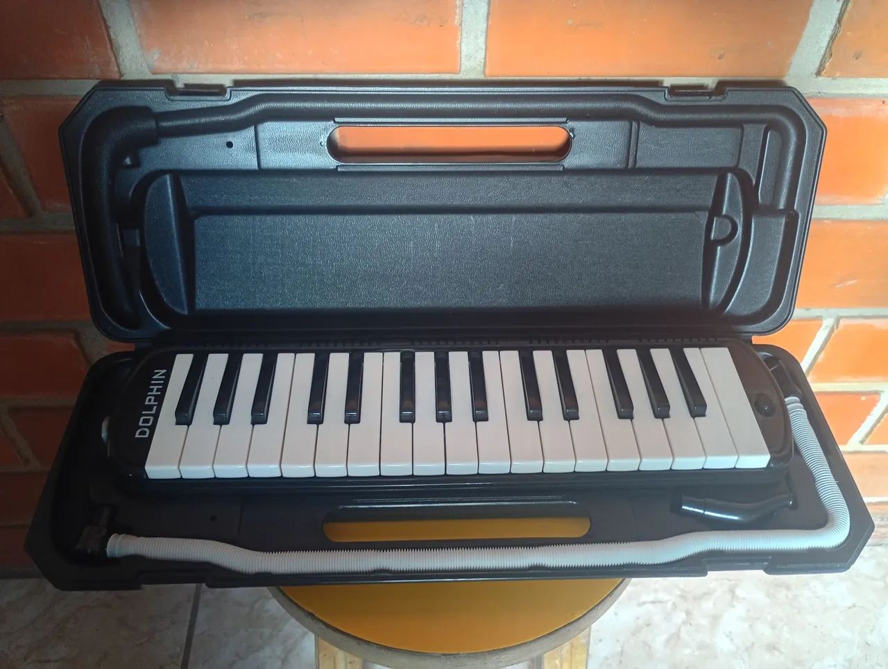 Escaleta Dolphim