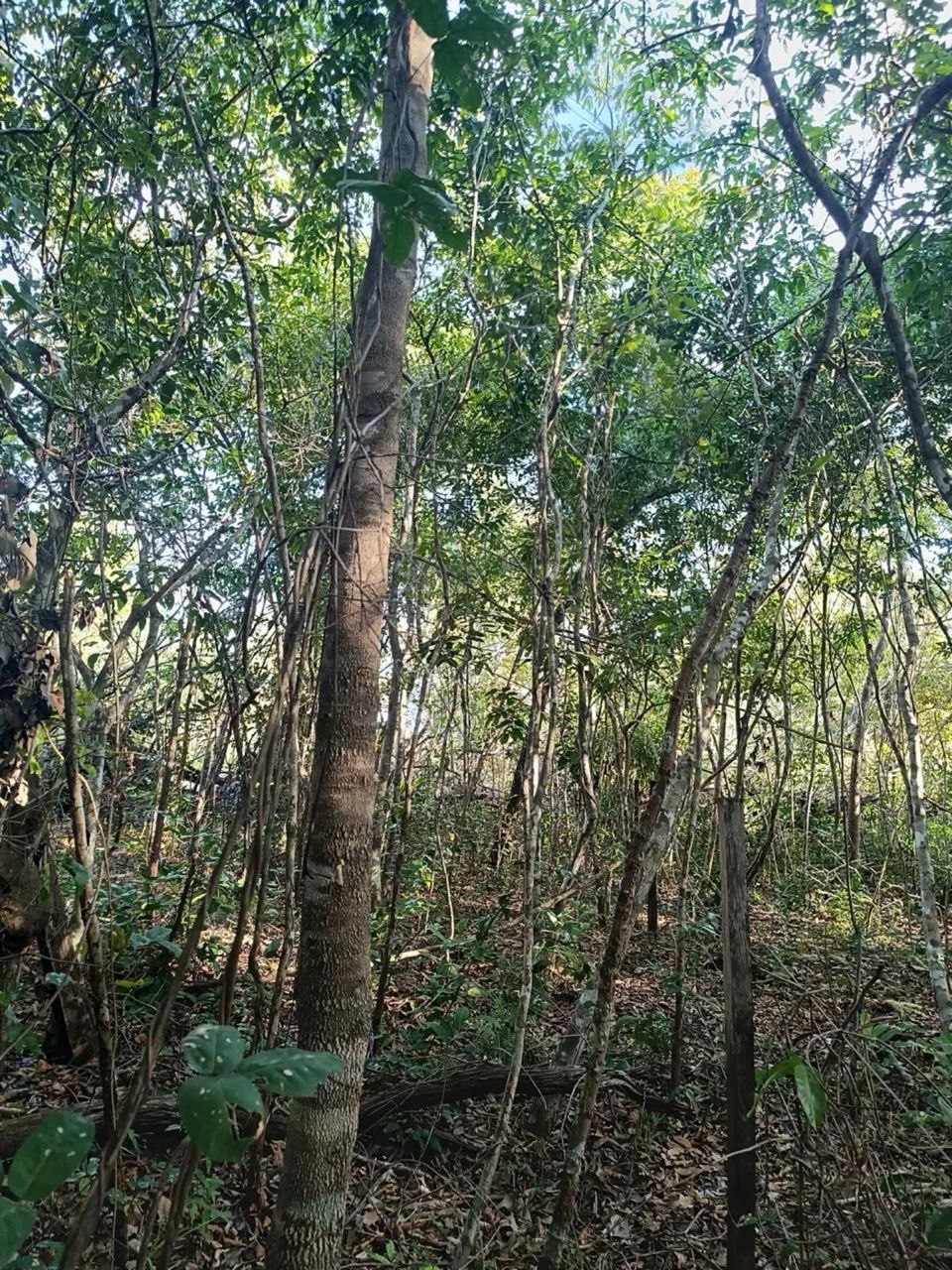 Chácara na beira do lago