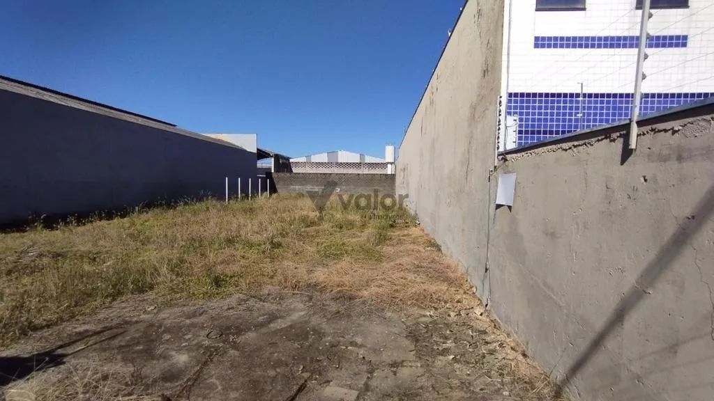 Terreno à venda em Campinas, Chácaras Campos dos Amarais, com 1000 m² - Foto 2