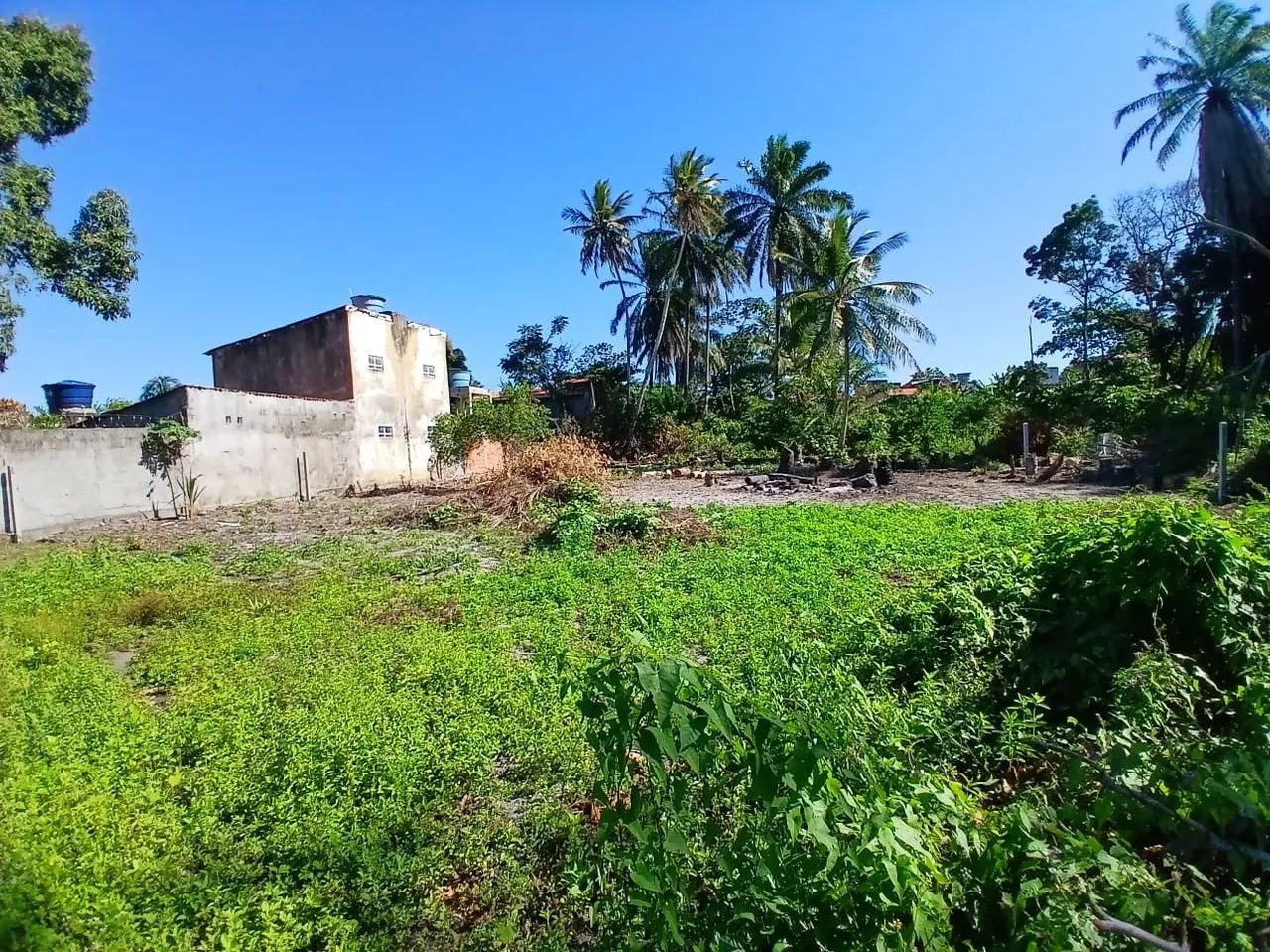 Terreno 