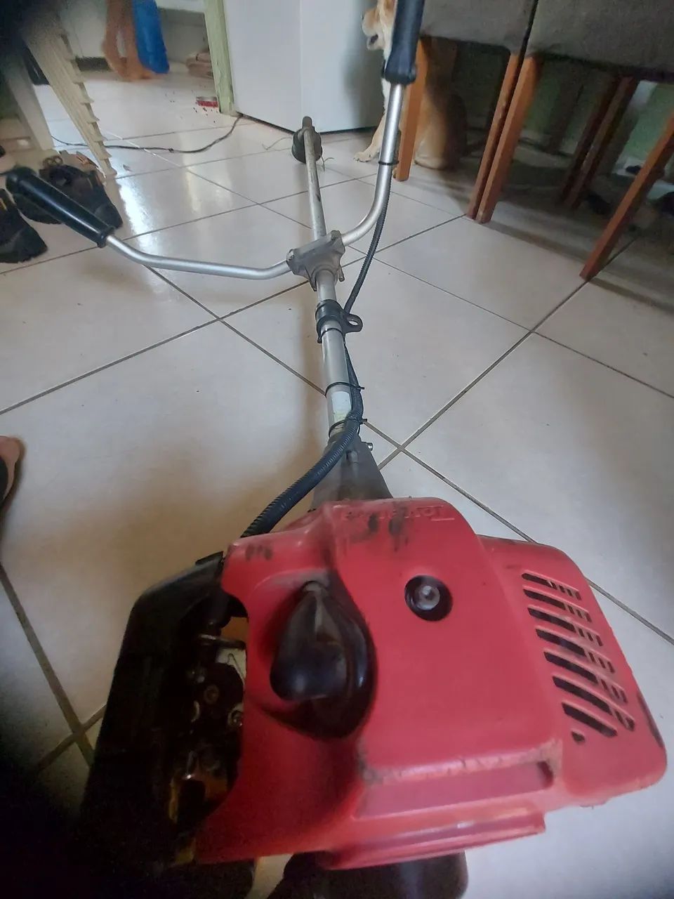 Roacadeira  - Foto 5