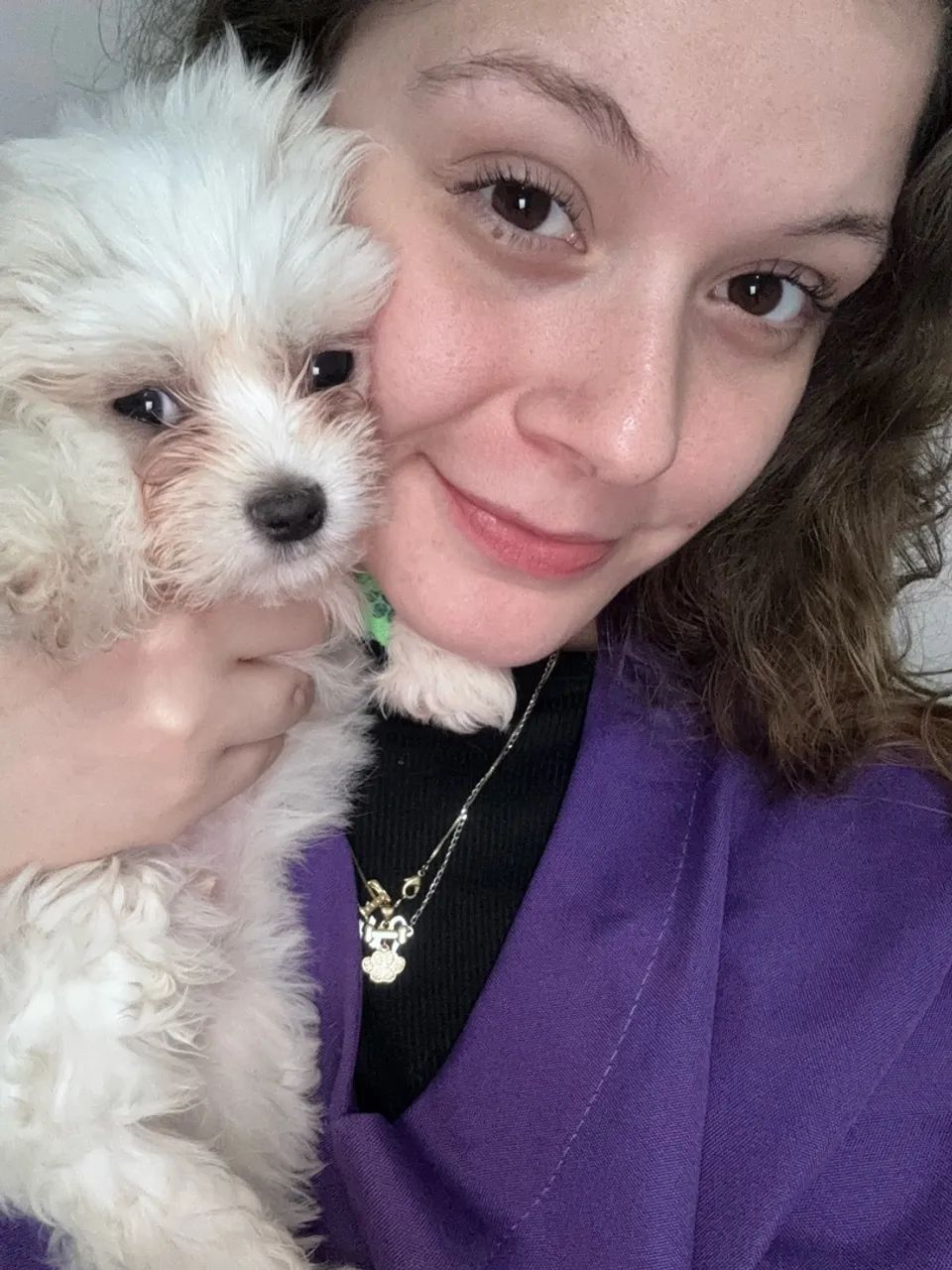 Pet Sitter - Cuidadora de Cães e Gatos  - Foto 4