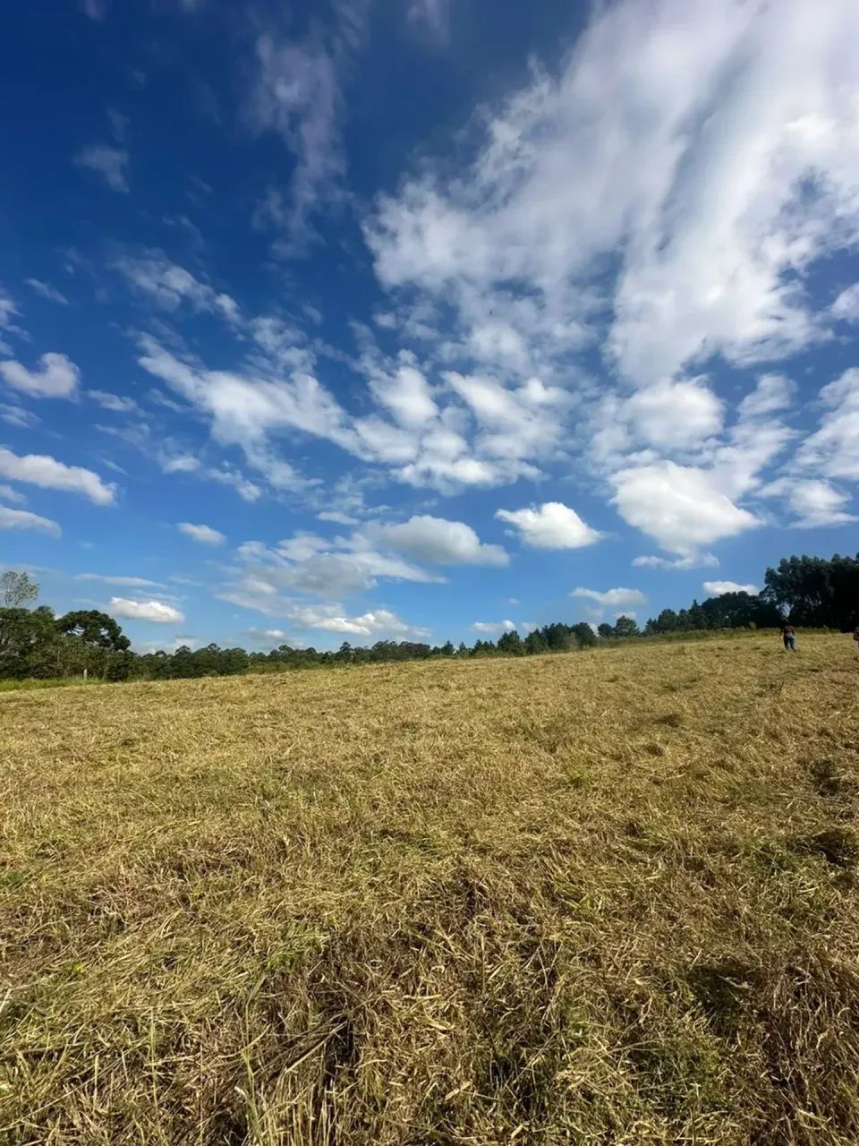 1.000m² em Mairinque/SP com condições imperdíveis - Foto 4
