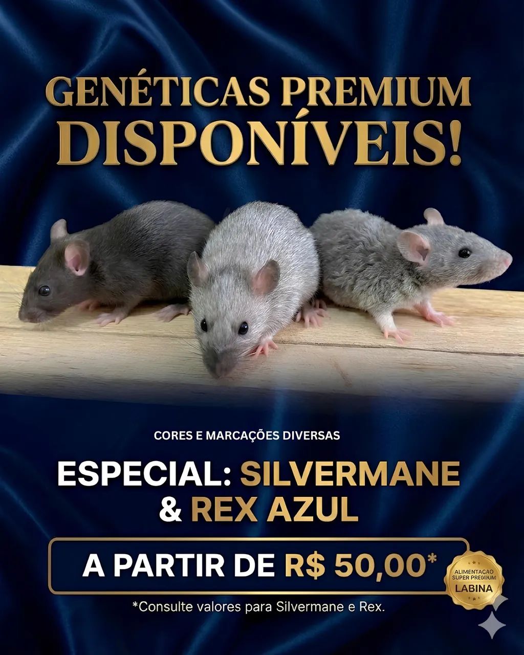 Twister Rat/Mercol HIGH GENETICS