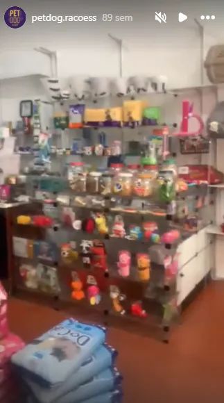 Loja Petshop Completa - Foto 3