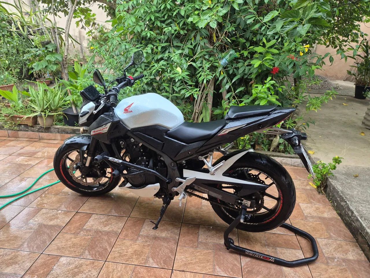 Hornet 500
