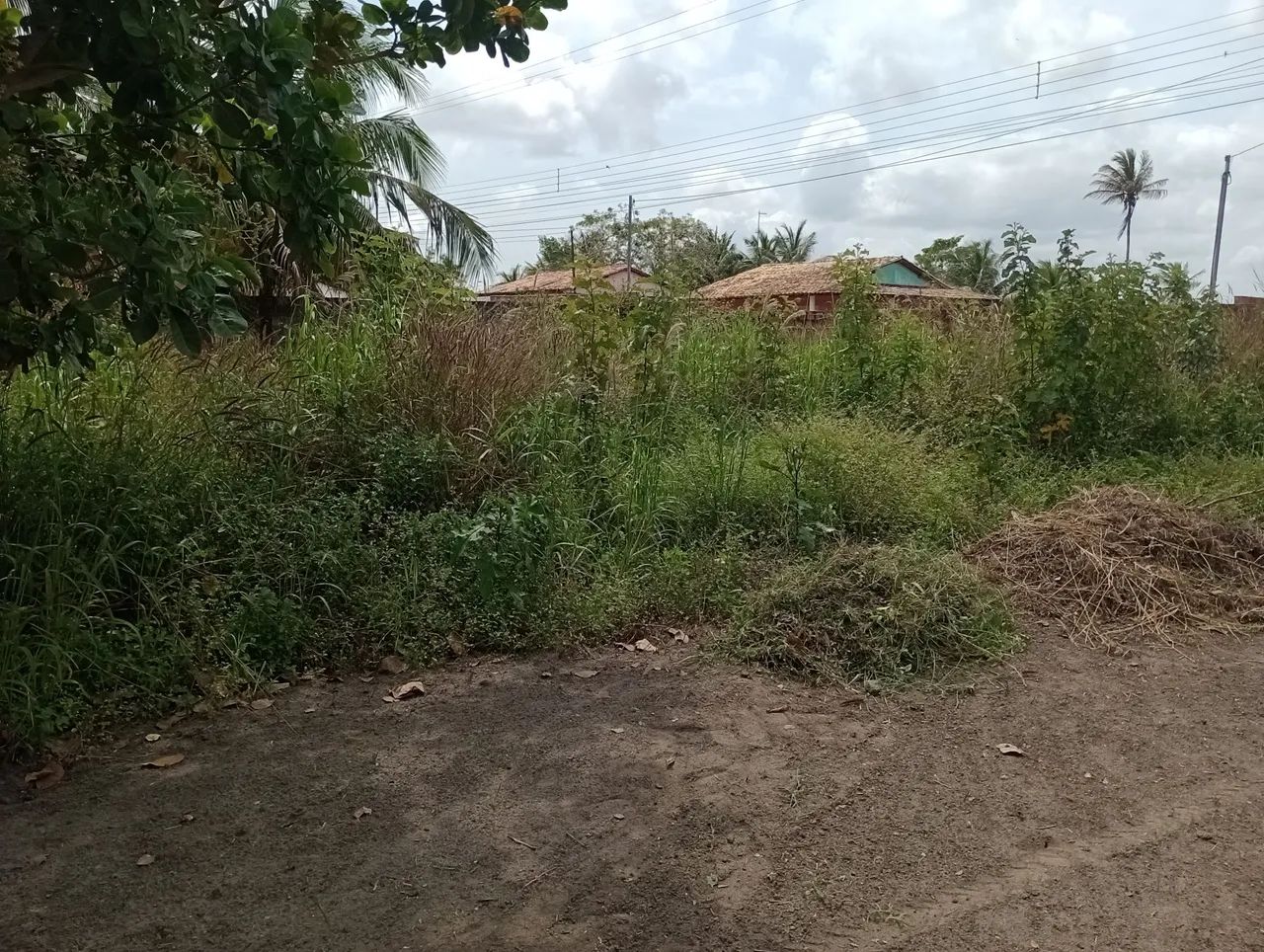 Vendo R$ 150.000 no povoado Gravatá em Itaporanga d'ajuda  - Foto 5