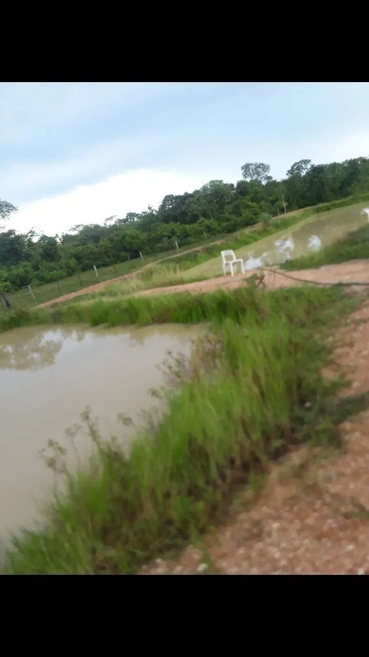 Bélissima Chácara na Região Gamaliel - Cuiabá/MT - Foto 3