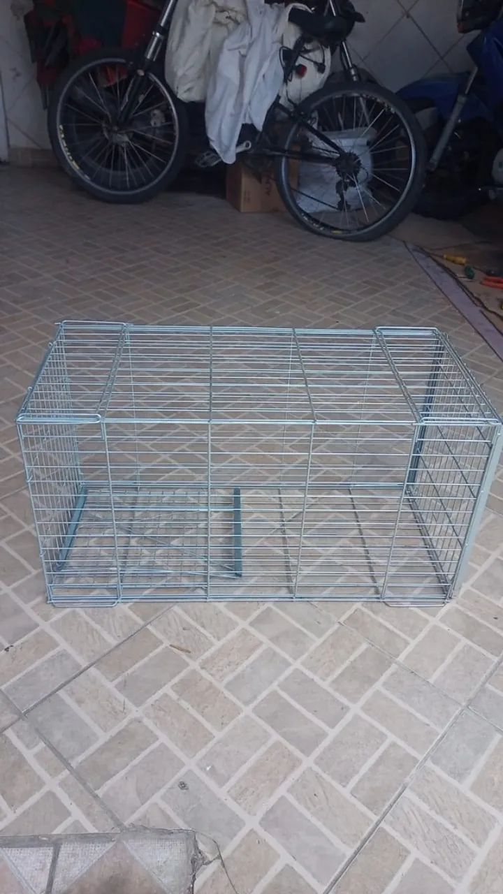 Gateira gaiola65573827237762121