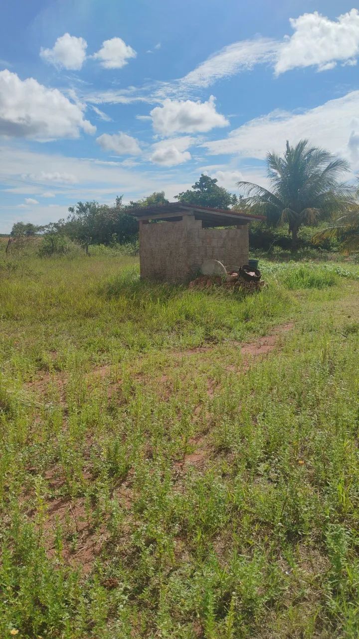 Vendo propriedade  - Foto 5