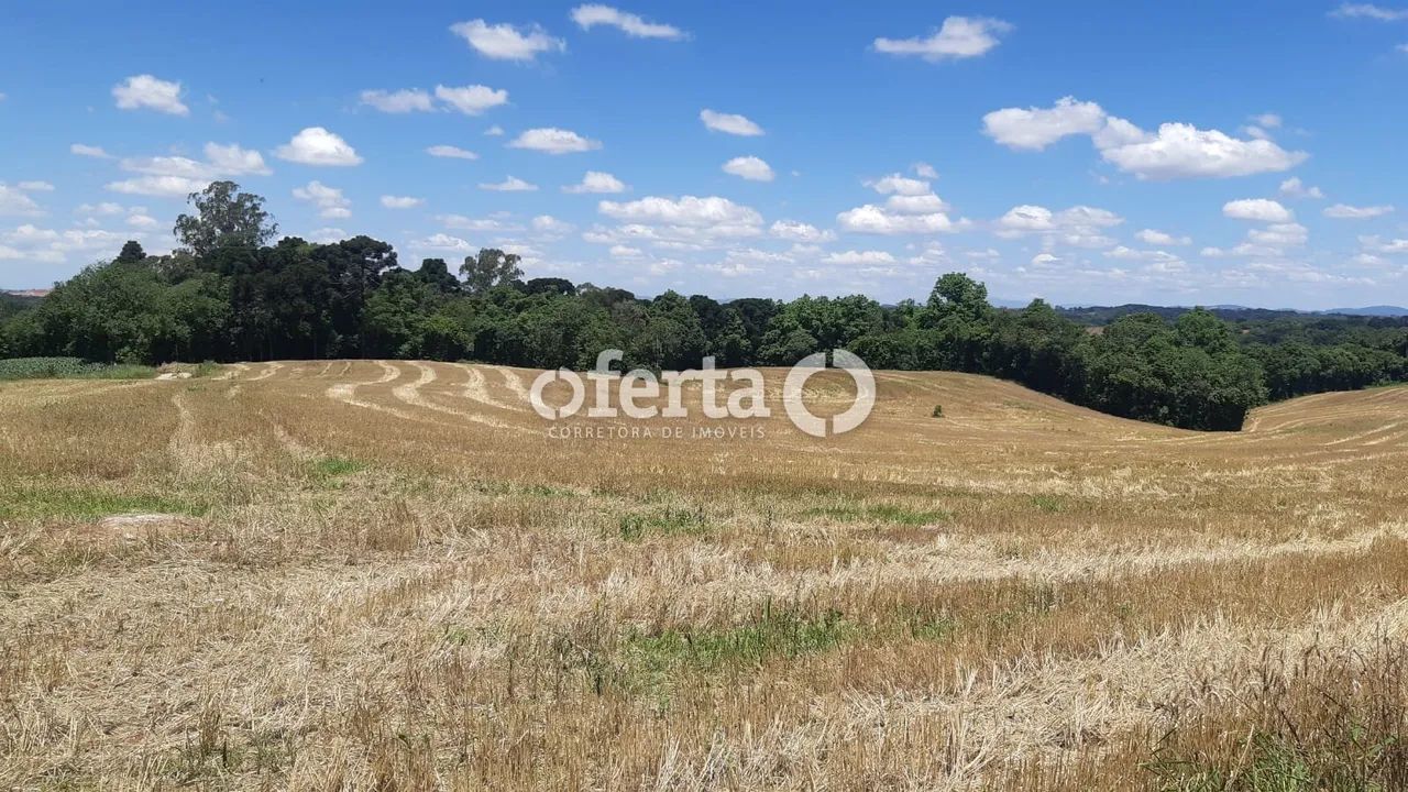 Chácara em Araucária / Campo do Thomaz