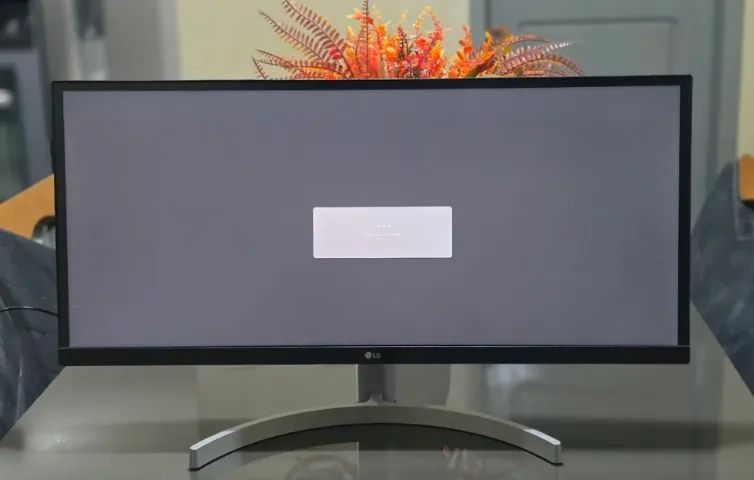 Monitor LG Ultrawide 29' IPS Full HD UltraWide (2560x1080) - Foto 2