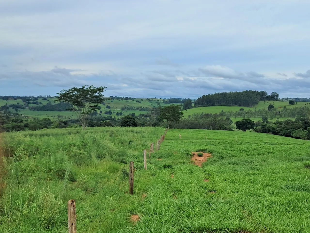 Sítio 2,225 alqueires Altônia PR  - Foto 4