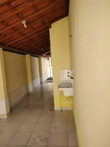 Jequitibá aracruz - Foto 5