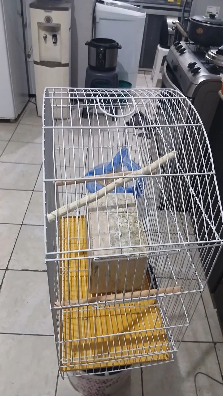Vende se uma gaiola grande  - Foto 3