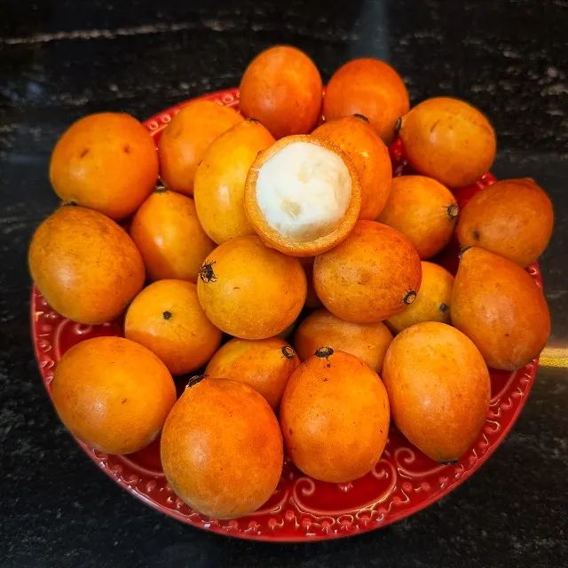 Achachairu Fresquinho Direto do Pomar para sua Mesa! - Foto 5