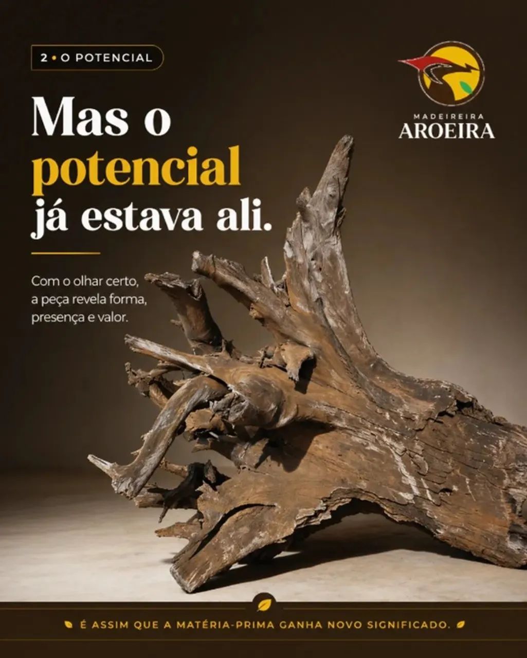 Raiz de Madeira Para Mesa - Foto 2