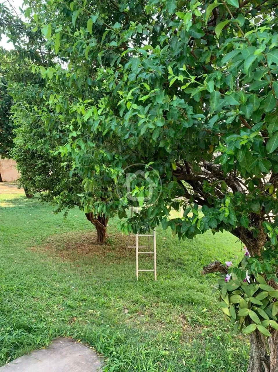 TERRENO ANTÔNIO VENDAS - Foto 4