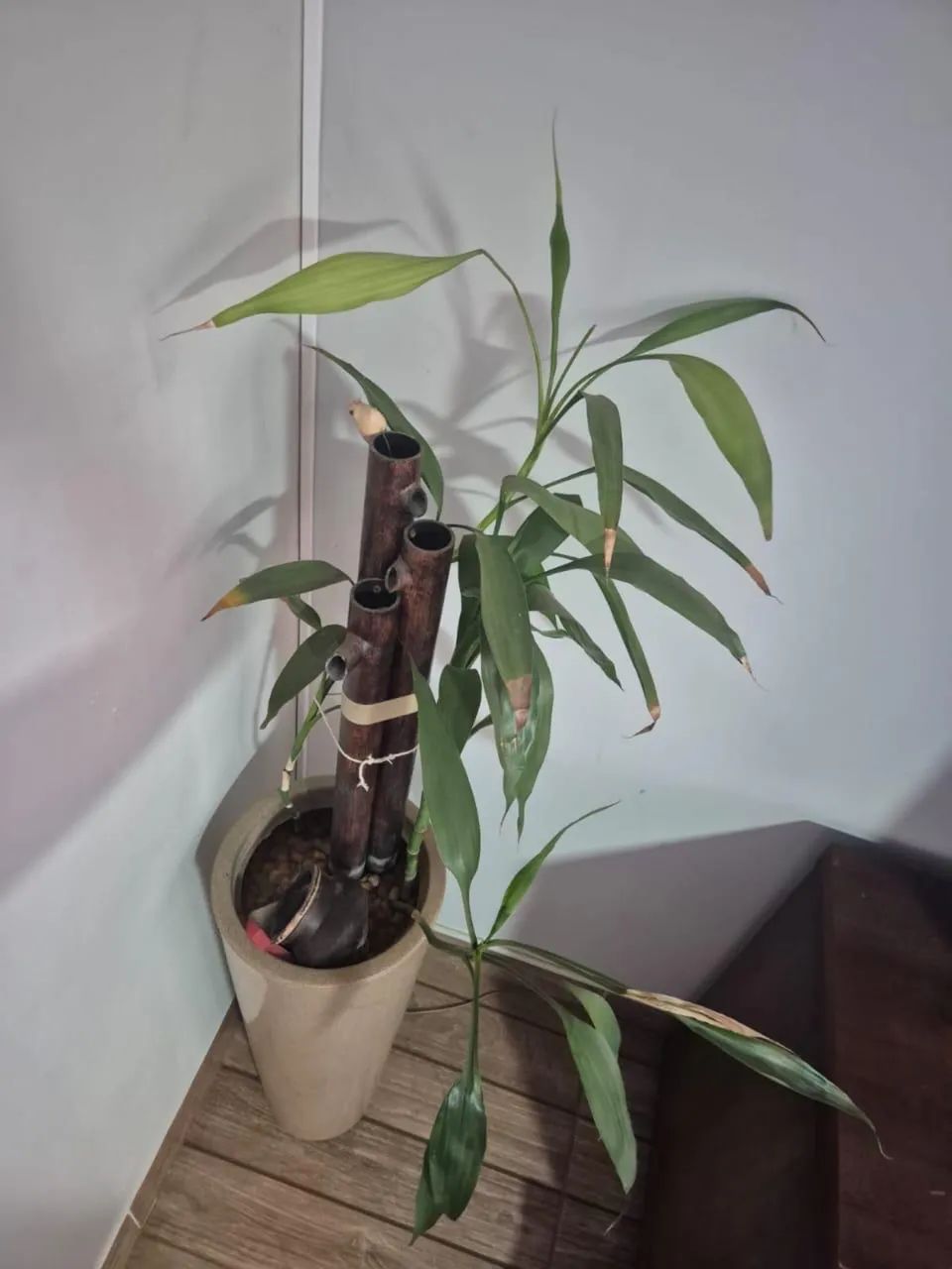 Fonte com bambu