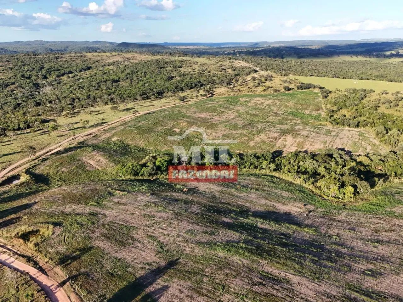 Fazenda 103 alqueires ( 498.5 hectares ) Ipameri-GO - Foto 5