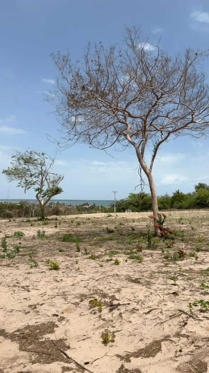 PRAIA DE PANAQUATIRA: Terreno a venda vista mar e panorâmica - São Luís-MA - Foto 2