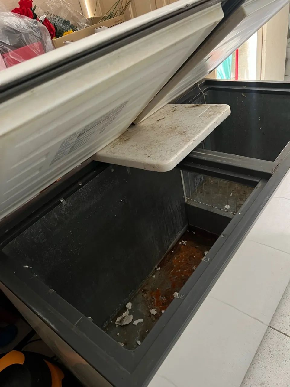 Freezer - Foto 2
