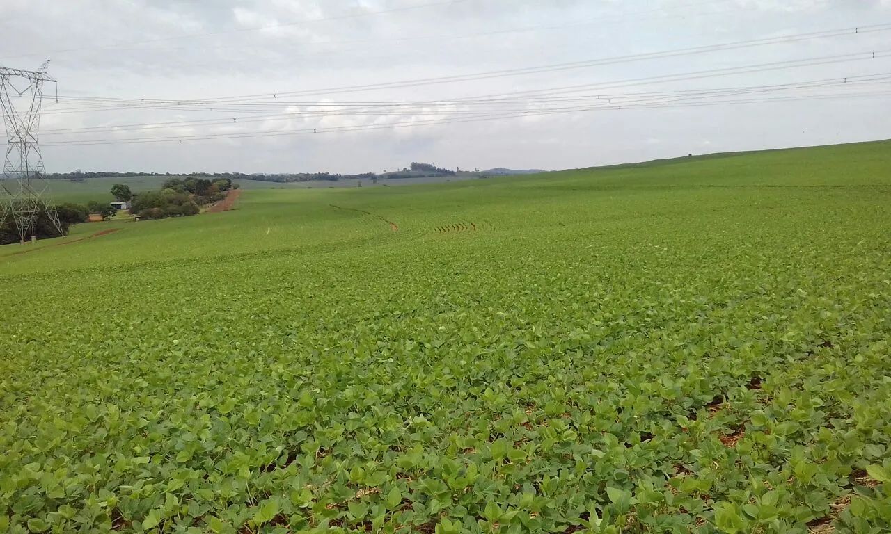 Fazenda  - Foto 5