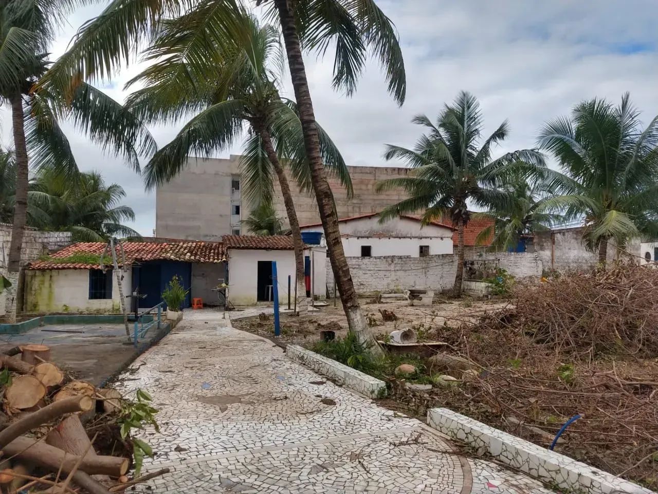 Terreno Amplo - Foto 3