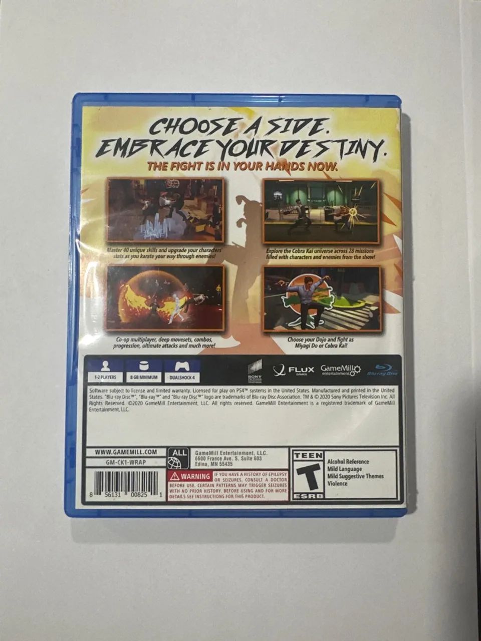 Cobra Kai PlayStation 4 - Foto 2