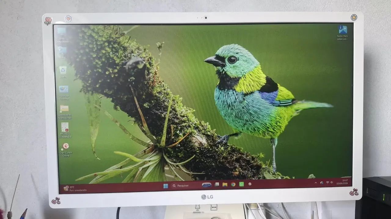 Computador LG All in One 22V280