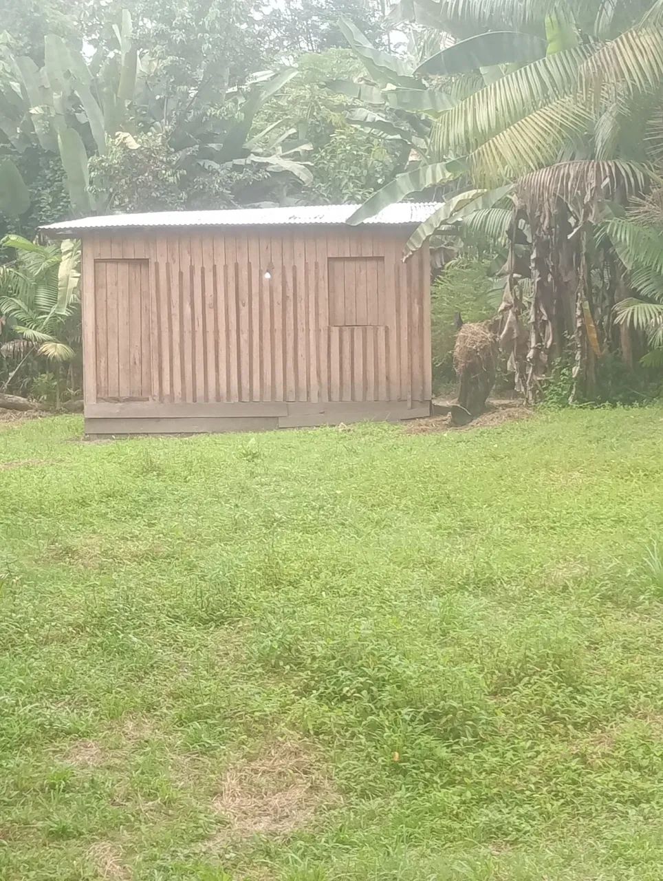Terreno com Casa no Pará -Acara