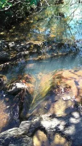 sítio de 71 hectares 14 km da cidade do Paraíso do manso - Foto 3