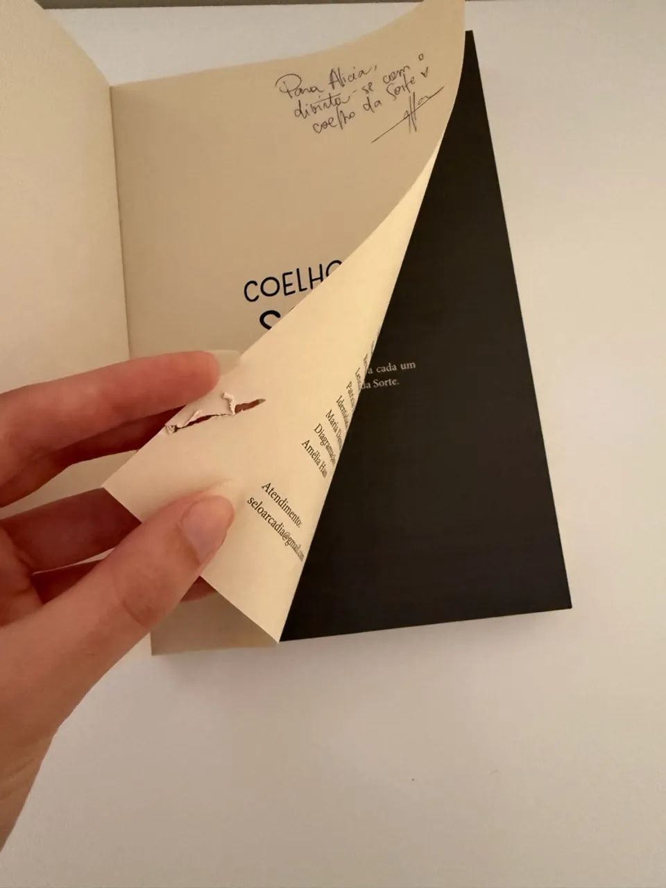 Combo Coelho da Sorte (Vol 1 e 2) - Com Brindes - Ella Mevil - Foto 4